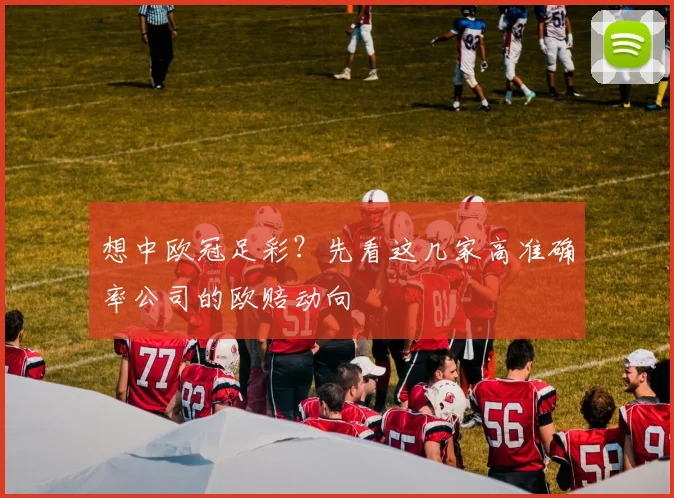 想中欧冠足彩？先看这几家高准确率公司的欧赔动向