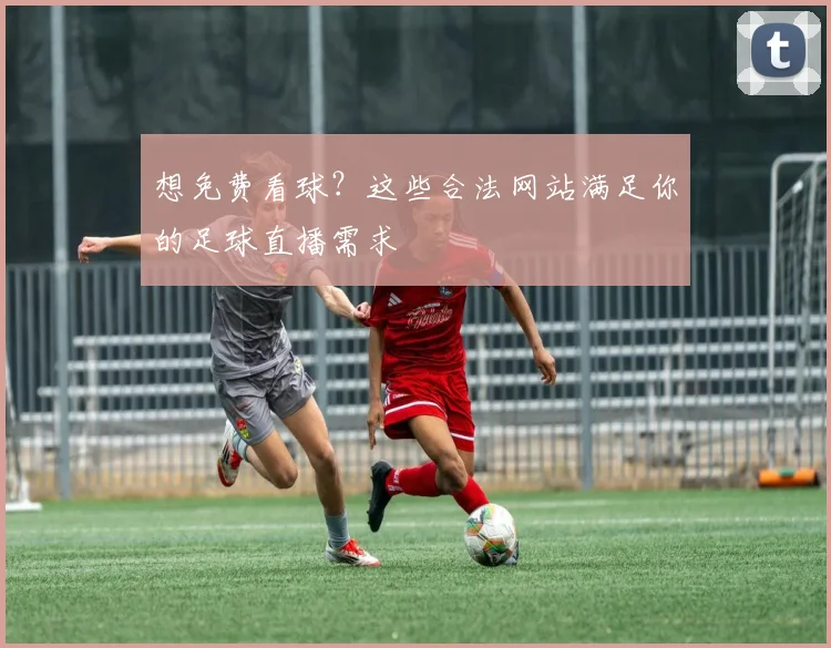 想免费看球？这些合法网站满足你的足球直播需求